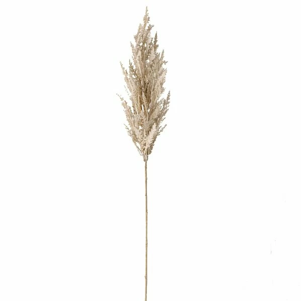 Pampasgras - Naturfarben - Kunststoff - 95 Cm Hoch 1 Pampasgras - Naturfarben - Kunststoff - 95 Cm Hoch