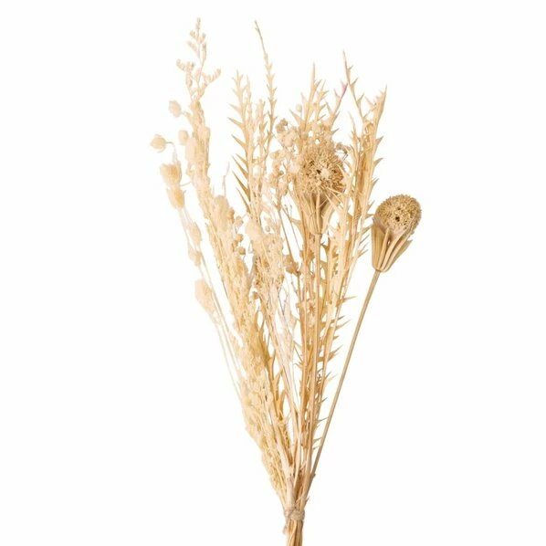 Trockenblume - Natur - 32 Cm Hoch