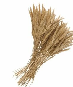 Dekozweigbündel - Natur - Stroh