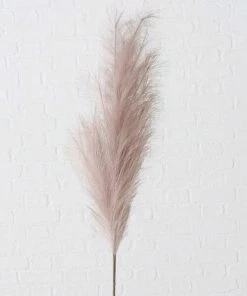 Pampasgras - Hellrosa - 130 Cm Hoch