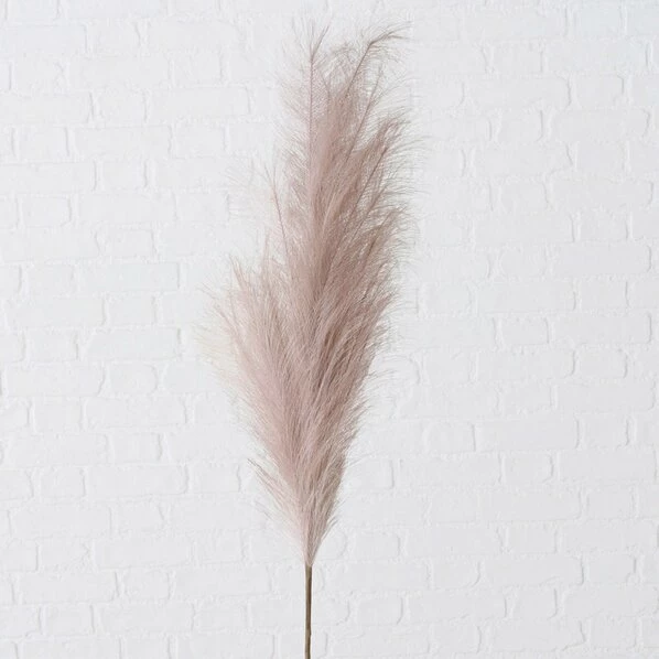 Pampasgras - Hellrosa - 130 Cm Hoch