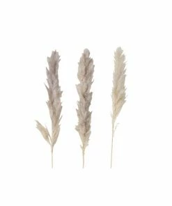 3-teiliges Dekozweig-Set - Natur - 100 Cm