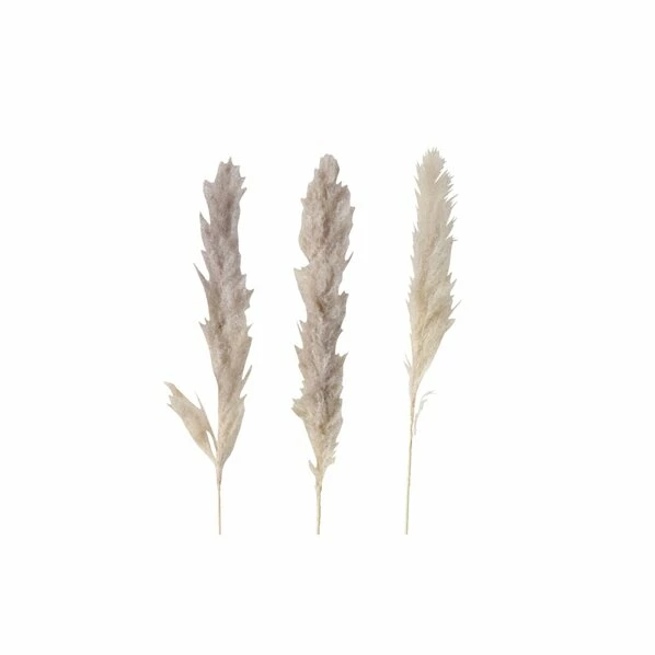 3-teiliges Dekozweig-Set - Natur - 100 Cm 1 3-teiliges Dekozweig-Set - Natur - 100 Cm