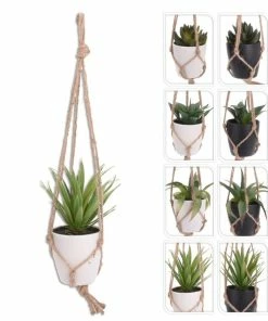 Dekopflanze - Verschiedene Größen