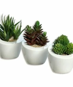 Sukkulenten - Kunstpflanze - 3-fach Sortiert