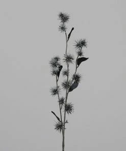 Hamamelis-Zweig - Schwarz - Kunststoff - 101 Cm