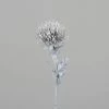 Protea - Hellgrau - Kunststoff - 74 Cm