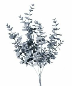 Eukalyptus Strauss - Grau - 38 Cm
