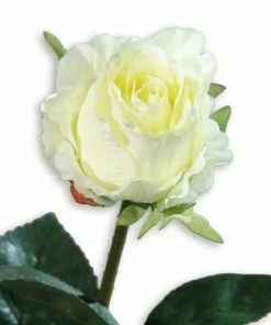 Kolumbianische Rose - Kunstblume - Cream