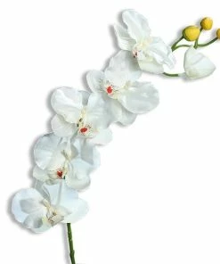 Orchidee - Kunstpflanze - Creme - 6 Blüten - 72 Cm