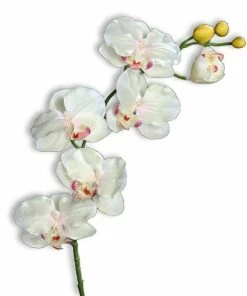 Orchidee - Kunstpflanze - Rosa-creme - 6 Blüten - 72 Cm