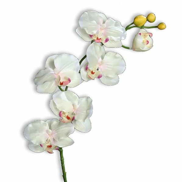 Orchidee - Kunstpflanze - Rosa-creme - 6 Blüten - 72 Cm 1 Orchidee - Kunstpflanze - Rosa-creme - 6 Blüten - 72 Cm