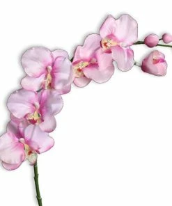 Orchidee - Kunstpflanze - Rosa - 6 Blüten - 72 Cm