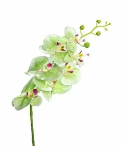 Orchidee-Phalaenopsis - Kunstpflanze - Grün