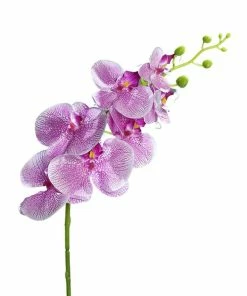 Orchidee-Phalaenopsis - Kunstpflanze - Lila-weiß