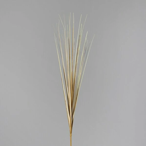 Isolepsisgras - Beige - Kunststoff - 70 Cm