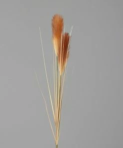 Pampas-Gras - Cream-brown - Kunststoff - 107 Cm