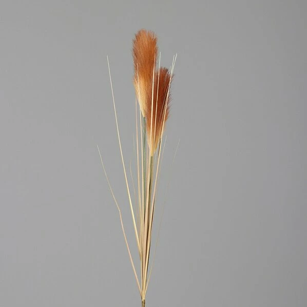 Pampas-Gras - Cream-brown - Kunststoff - 107 Cm