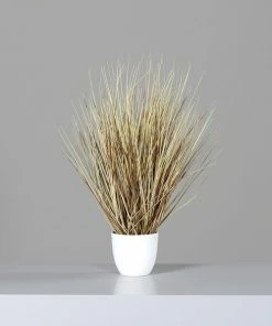 Beach-Gras - California Green - 60 Cm