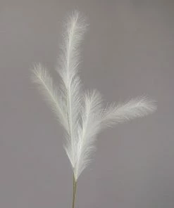Pampas-Gras - Weiß - Kunststoff - 145 Cm