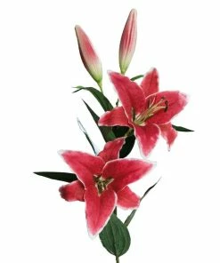 Lilie - Kunstblume - Fuchsia