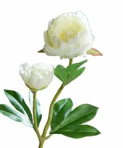 Pfingstrose-Päonie - Kunstblume - Creme
