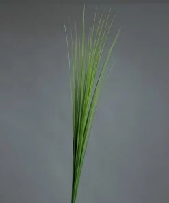 Isolepsis-Gras - Kunstpflanze - Grün