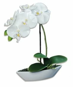 Orchidee-Phalaenopis - Creme - Kunstpflanze
