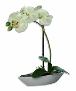Orchidee-Phalaenopis - Creme - Kunstpflanze