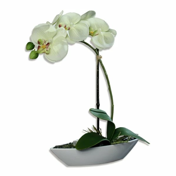 Orchidee-Phalaenopis - Creme - Kunstpflanze 1 Orchidee-Phalaenopis - Creme - Kunstpflanze