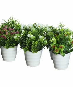 Mini-Grünpflanze - Kunstpflanze - Sortiert - 20 Cm