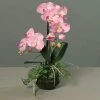 Orchidee - Pink-cream - Kunstpflanze