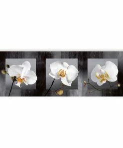 Keilrahmenbild - Orchideen - 50x150 Cm
