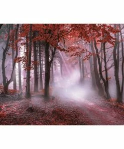 Keilrahmenbild ROTER WALD - 118x78 Cm