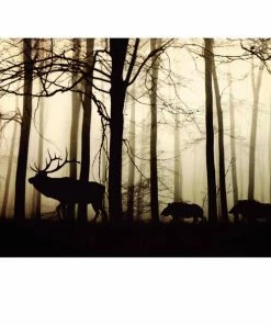 Keilrahmenbild WILDTIERE - 118x78 Cm