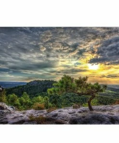 Keilrahmenbild KIEFER - 118x78 Cm