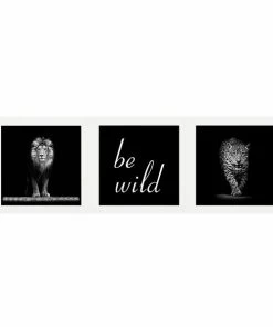 3er-Set Wandbilder BE WILD - Schwarz-weiß - 23x23