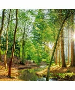 Deco Panel WALD FRÜHING - 40x50 Cm