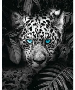 Deco Panel LEOPARD BLAUE AUGEN - 40x50 Cm