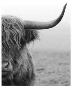 Deco Panel HIGHLÄNDER S/W - 40x50 Cm