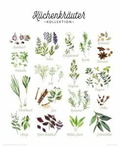 Deco Panel KRÄUTER - 40x50 Cm