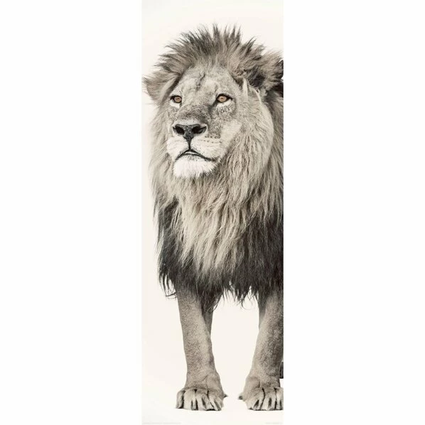 Deco Panel LÖWE STEHEND - 30x90 Cm 1 Deco Panel LÖWE STEHEND - 30x90 Cm