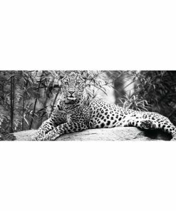 Deco Panel LEOPARD AUF FELD S/W - 30x90 Cm