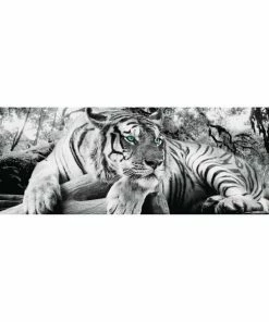 Deco Panel TIGER IS WATCHING YOU - 30x90 Cm