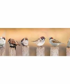 Deco Panel VOGELFAMILIE - 30x90 Cm