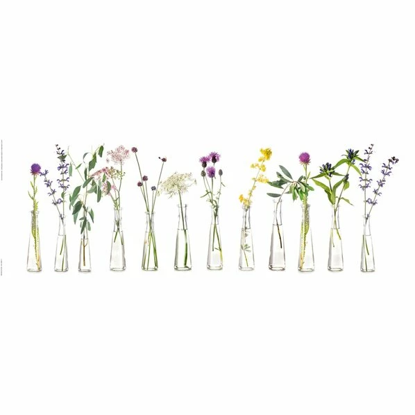 Deco Panel ILLUSTRATION BLUMEN - 30x90 Cm 1 Deco Panel ILLUSTRATION BLUMEN - 30x90 Cm