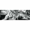 Deco Panel TIGER IS WATCHING YOU S/W - 52x156 Cm