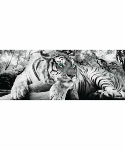 Deco Panel TIGER IS WATCHING YOU S/W - 52x156 Cm