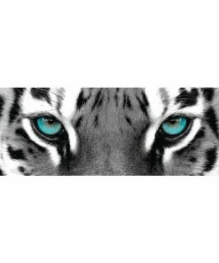 Deco Panel TIGER MIT BLAUEN AUGEN S/W - 52x156 Cm