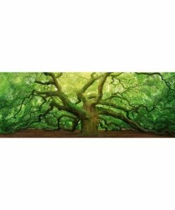 Deco Block ALTE EICHE - Grün-braun - 40x118 Cm